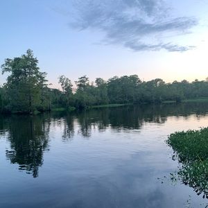 Meet your Posher, Doris